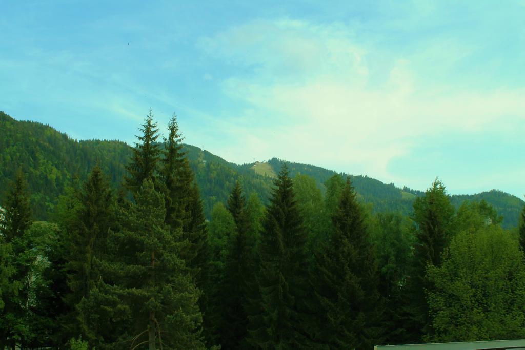Hotel Crisalpin Poiana Brasov Exterior photo
